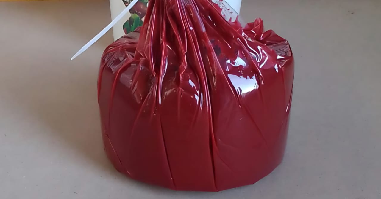 Gel Vista Background