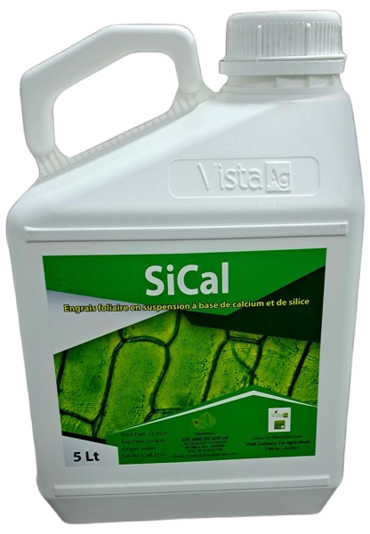 SiCal Product